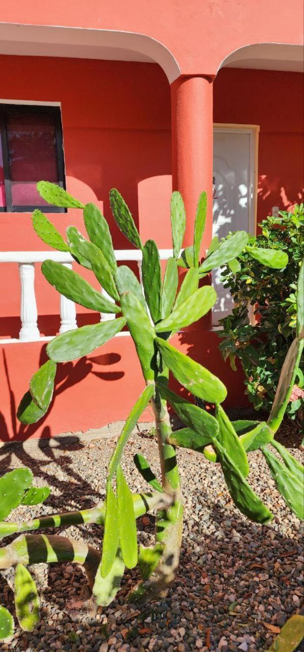 Villa Kiki Ensenada 푼타 루시아 외부 사진