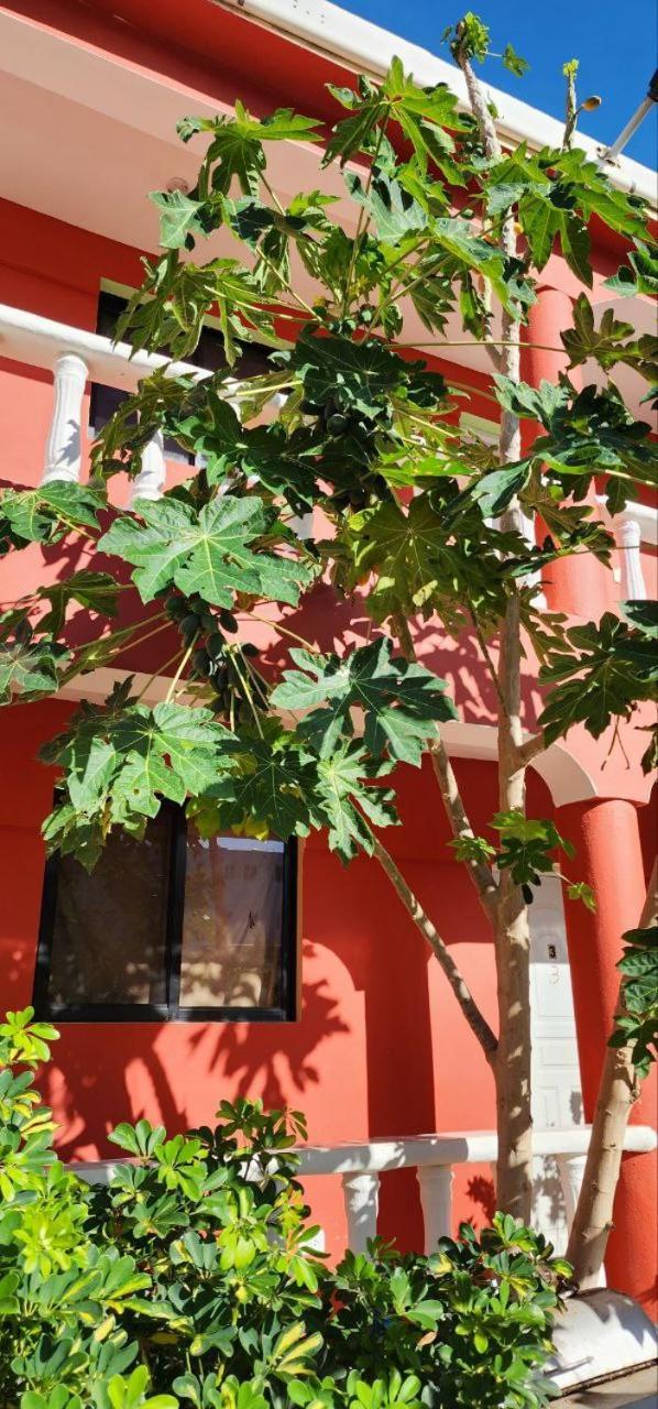 Villa Kiki Ensenada 푼타 루시아 외부 사진