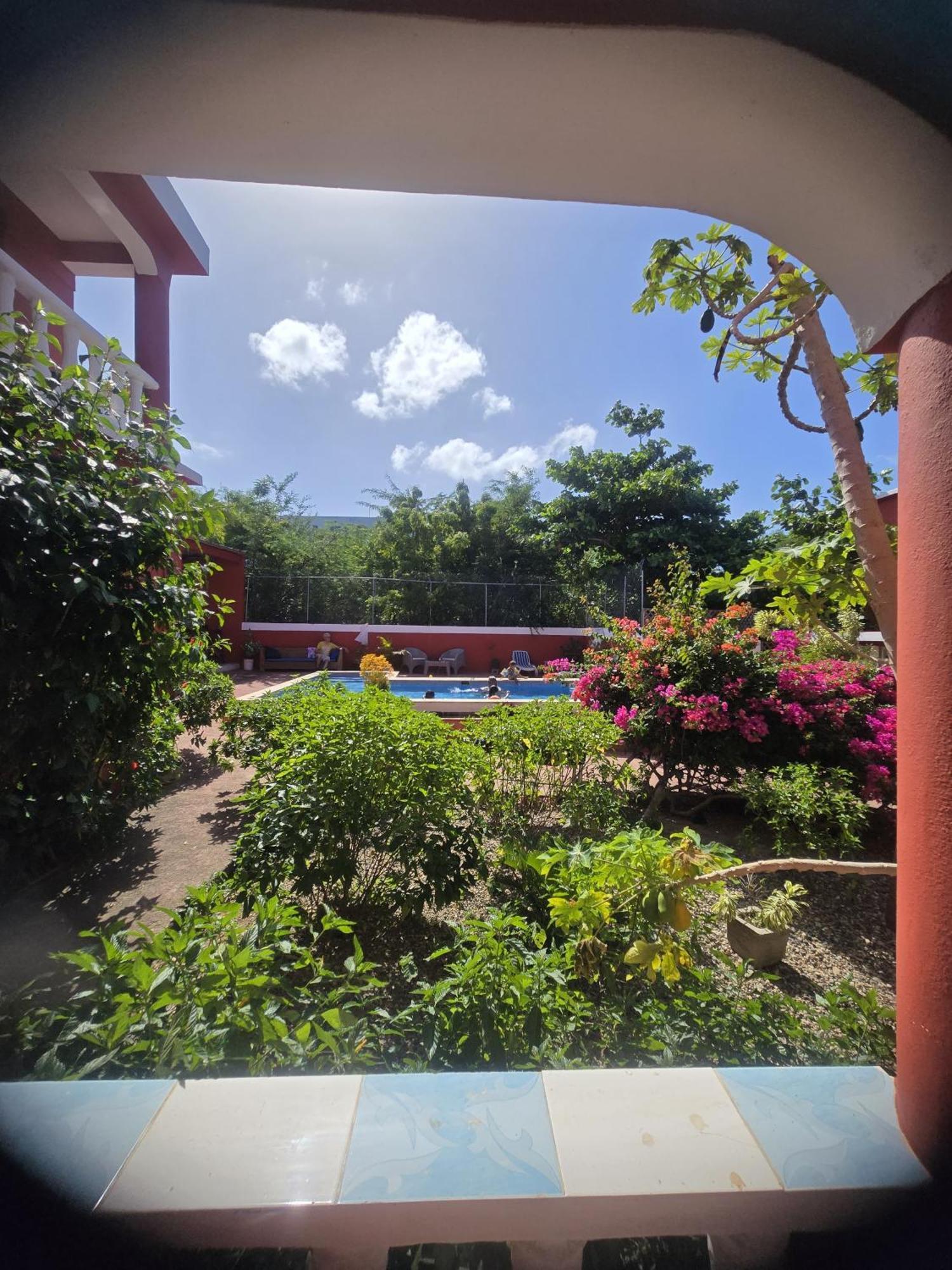 Villa Kiki Ensenada 푼타 루시아 외부 사진