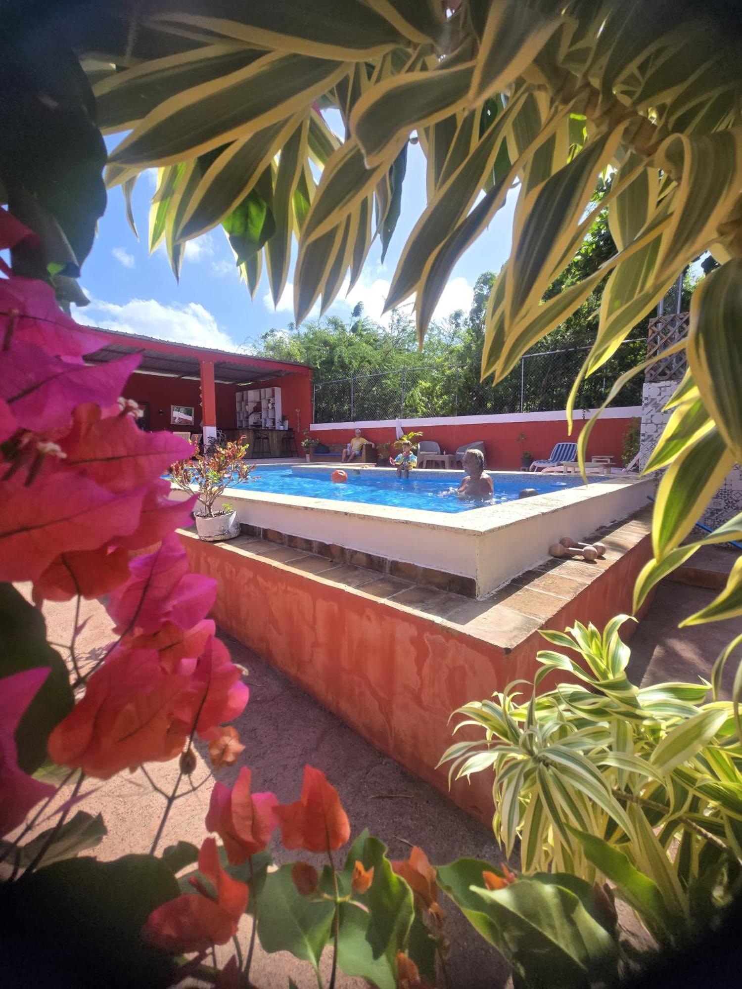 Villa Kiki Ensenada 푼타 루시아 외부 사진