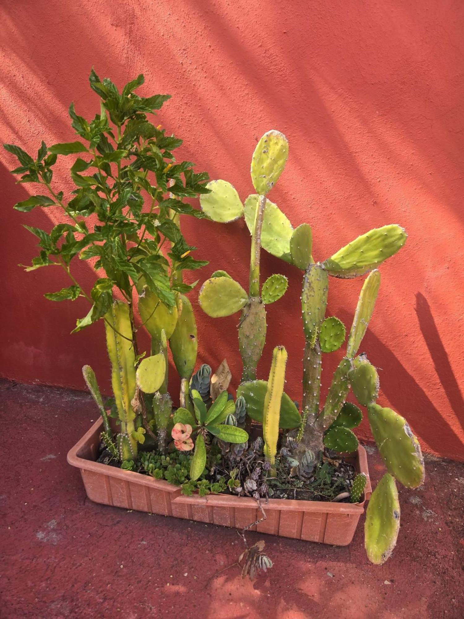 Villa Kiki Ensenada 푼타 루시아 외부 사진