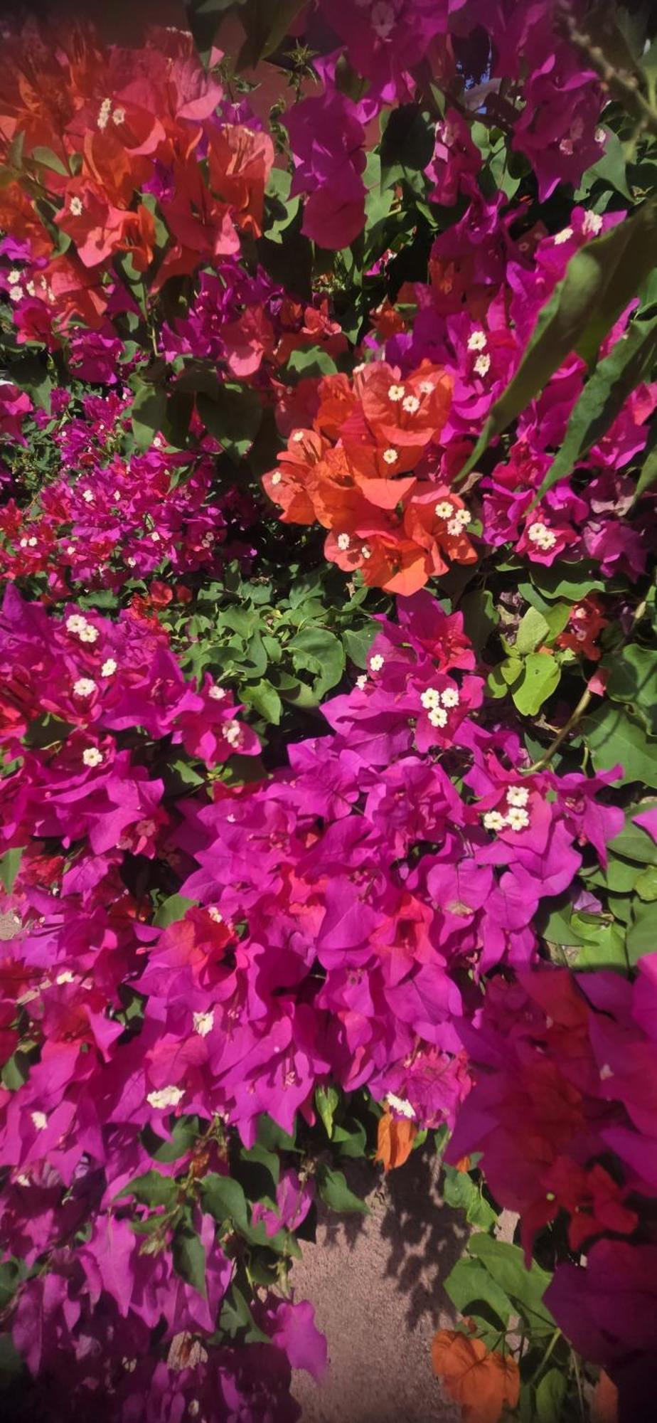 Villa Kiki Ensenada 푼타 루시아 외부 사진