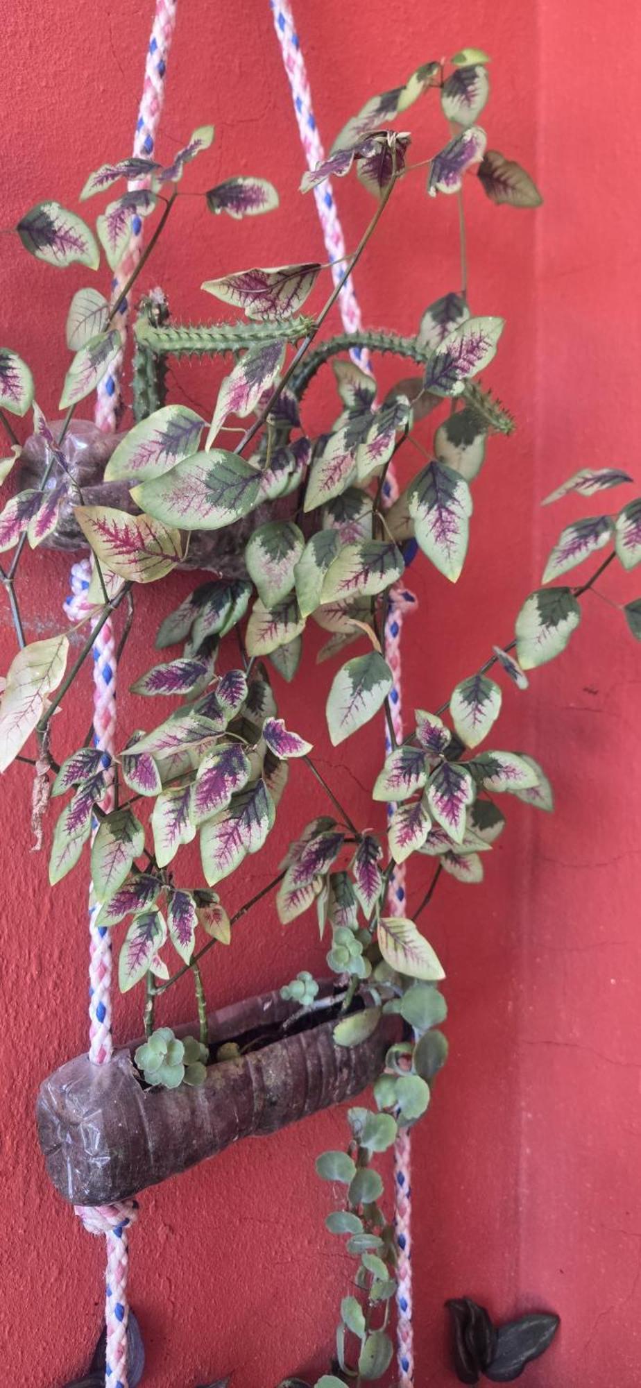Villa Kiki Ensenada 푼타 루시아 외부 사진